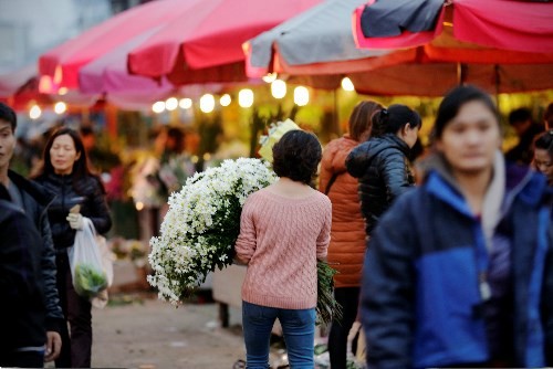 Les marchés aux fleurs de Hanoi - ảnh 3